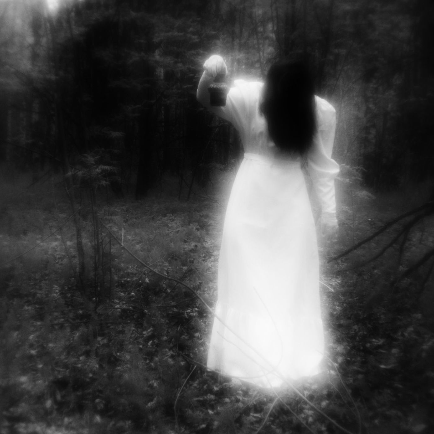 Dan Fournier\'s Down the Rabbit Hole