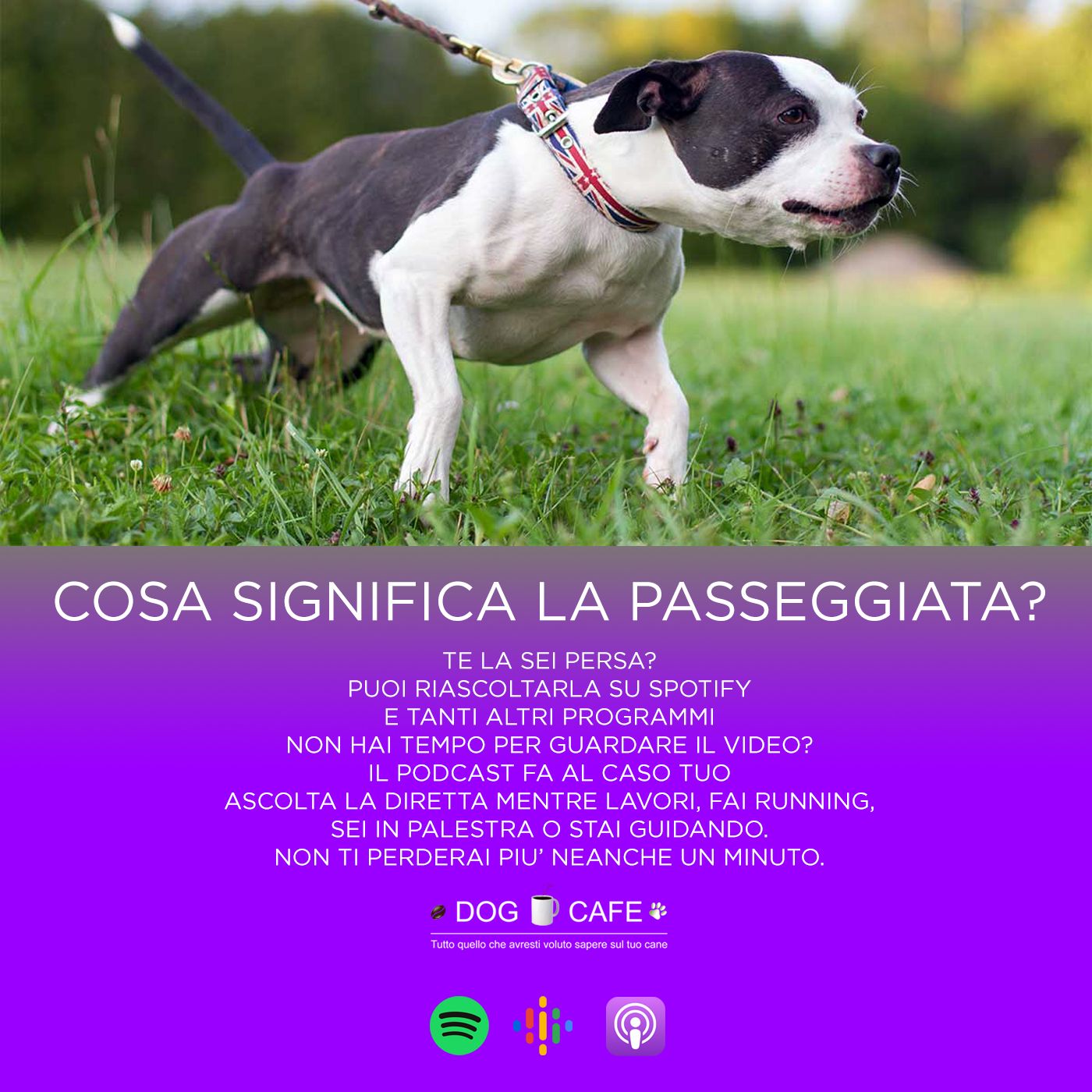 Dog Cafe Podcast