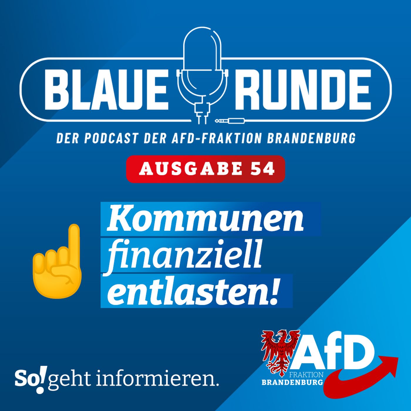 Kommunen finanziell entlasten! | Die Blaue Runde, Ausgabe 54/23 vom 04. Juni 2023 episode artwork