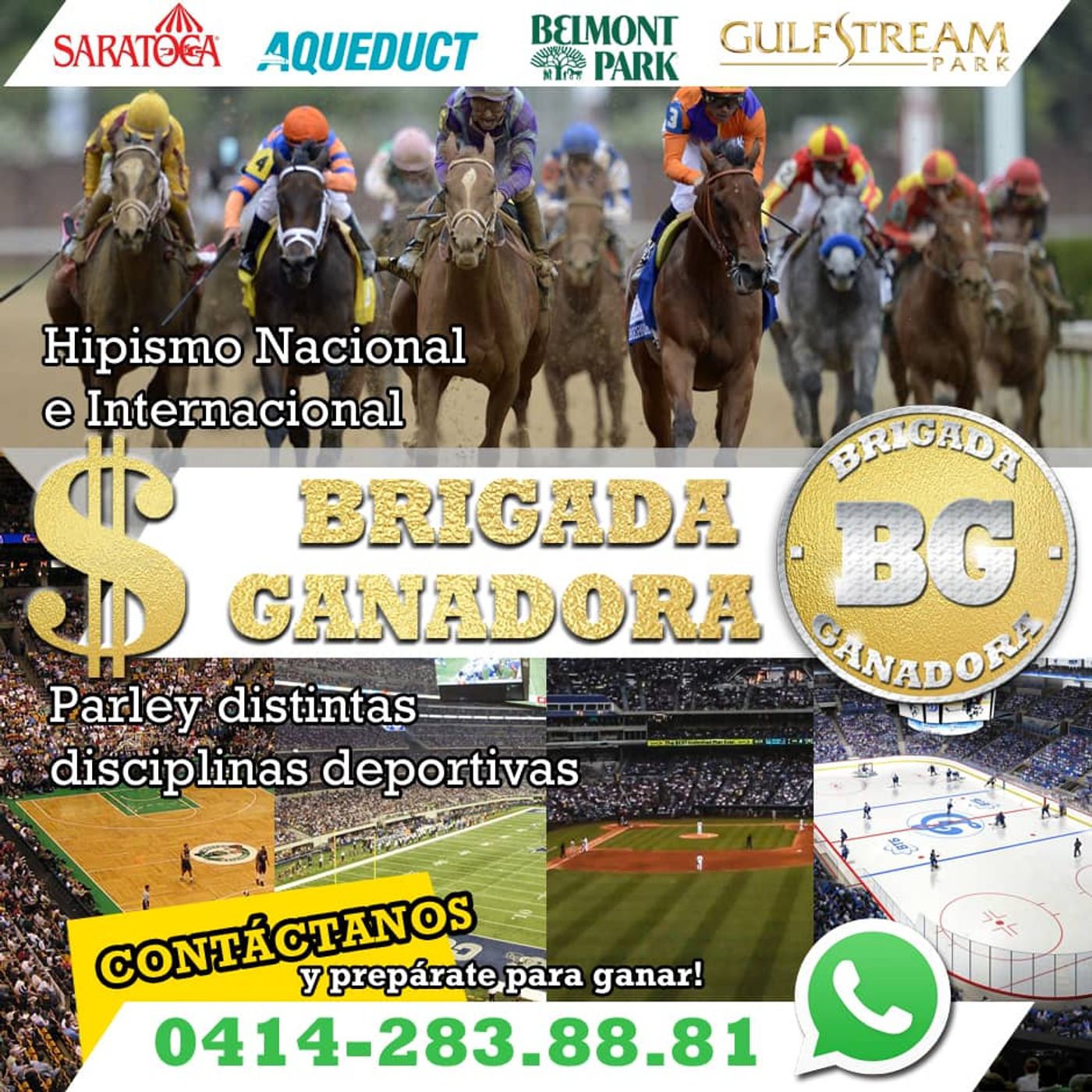 Pronosticos Hipismo Internacional