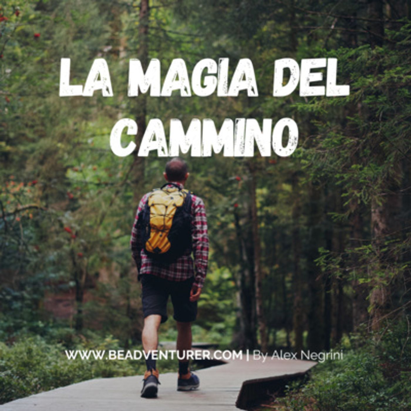Emozioni in viaggio