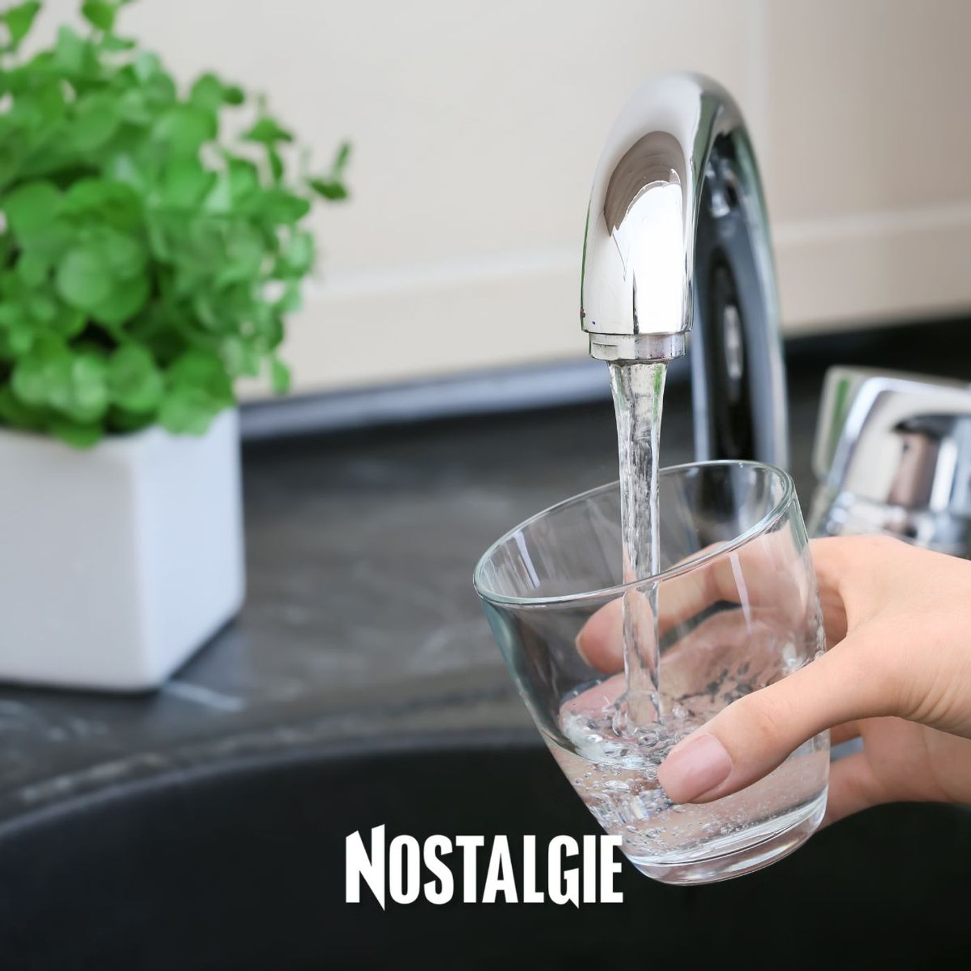 Purifier son eau du robinet : une micro-station belge pour boire une eau dépolluée à la maison