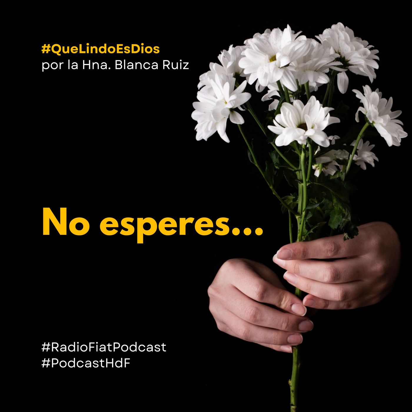 Que lindo es Dios - No esperes... episode artwork
