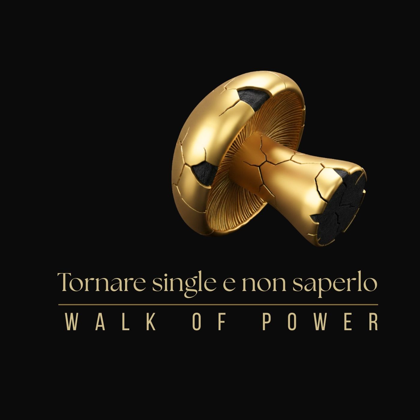 WALK OF POWER (l'ultimo Manifesto) - Episodio 12 WALK OF POWER (l'ultimo Manifesto) - Episodio 12