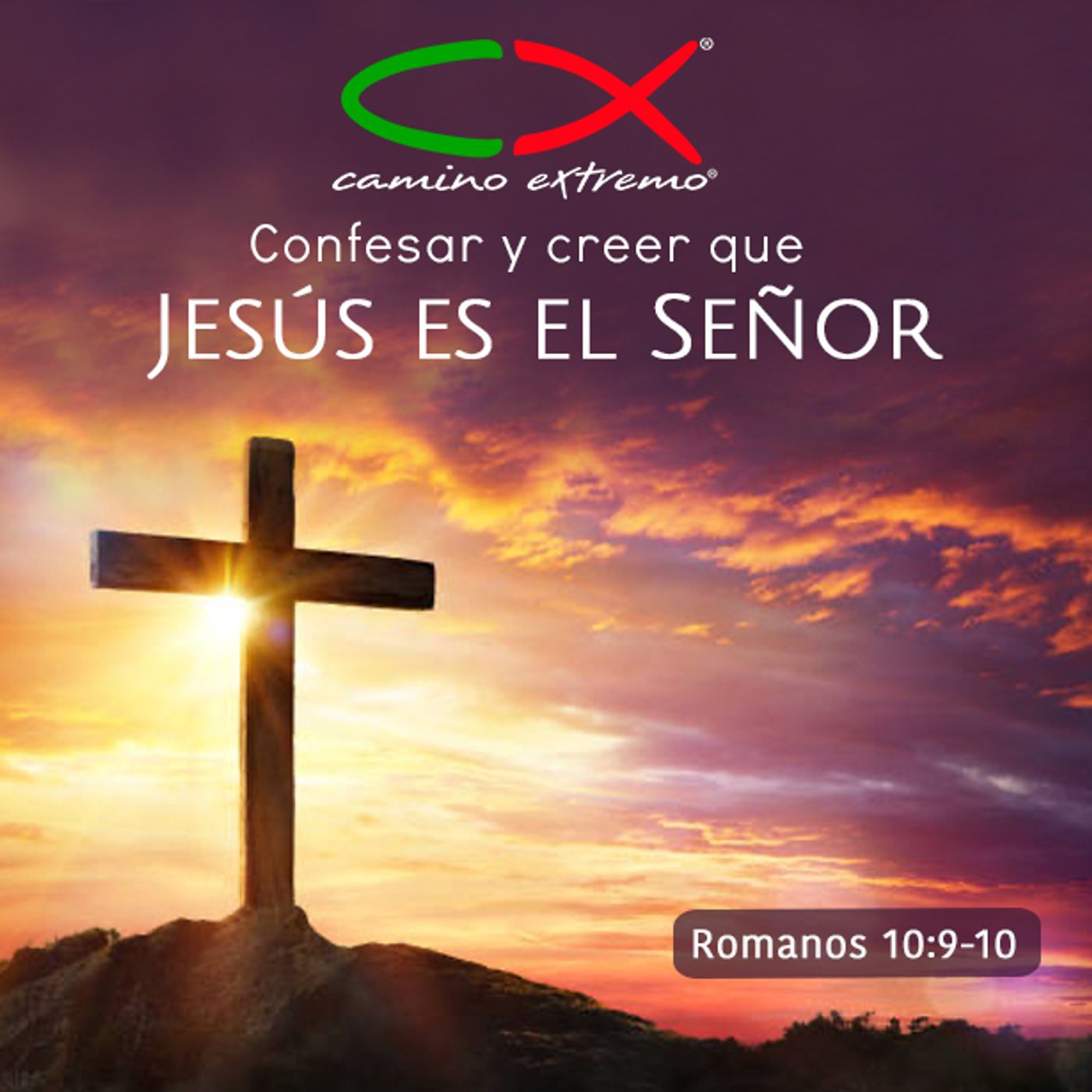 Oración 22 de febrero (Confesar y creer que Jesús es el Señor) episode artwork