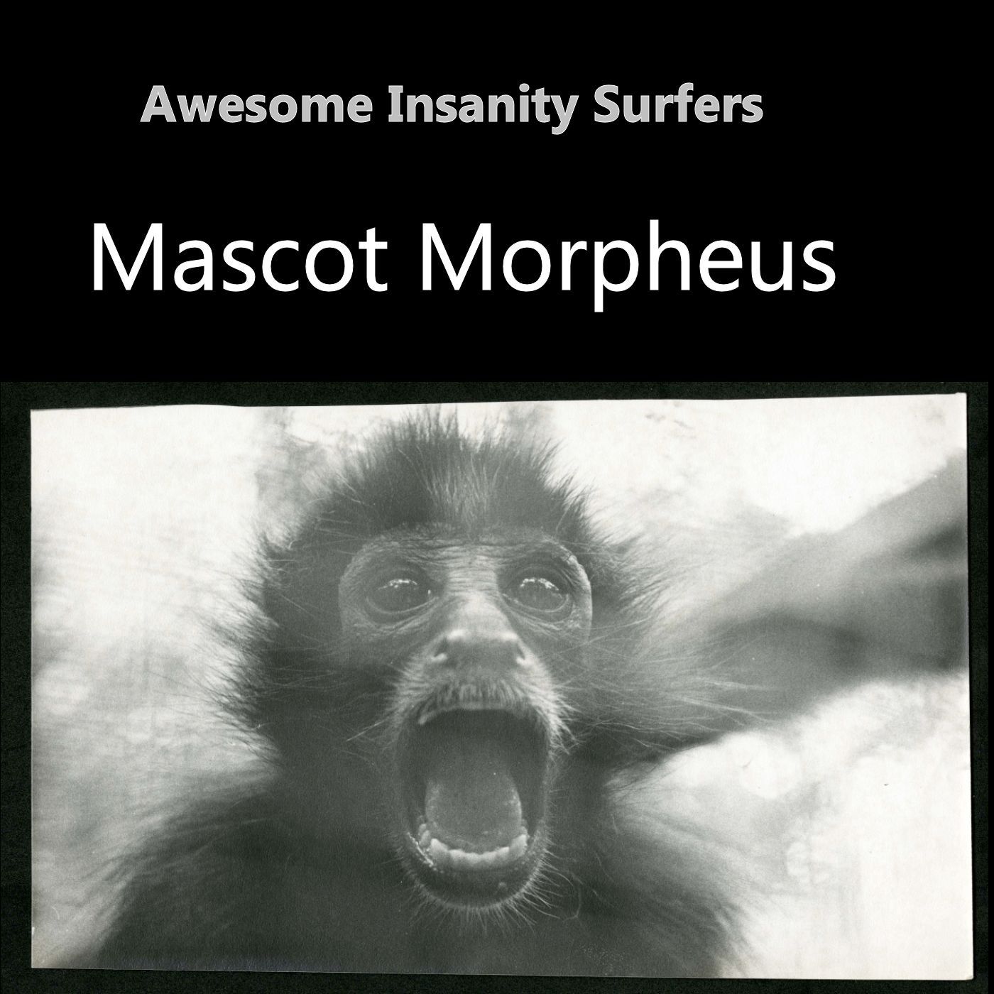 Awesome Insanity Surfer\'s tracks