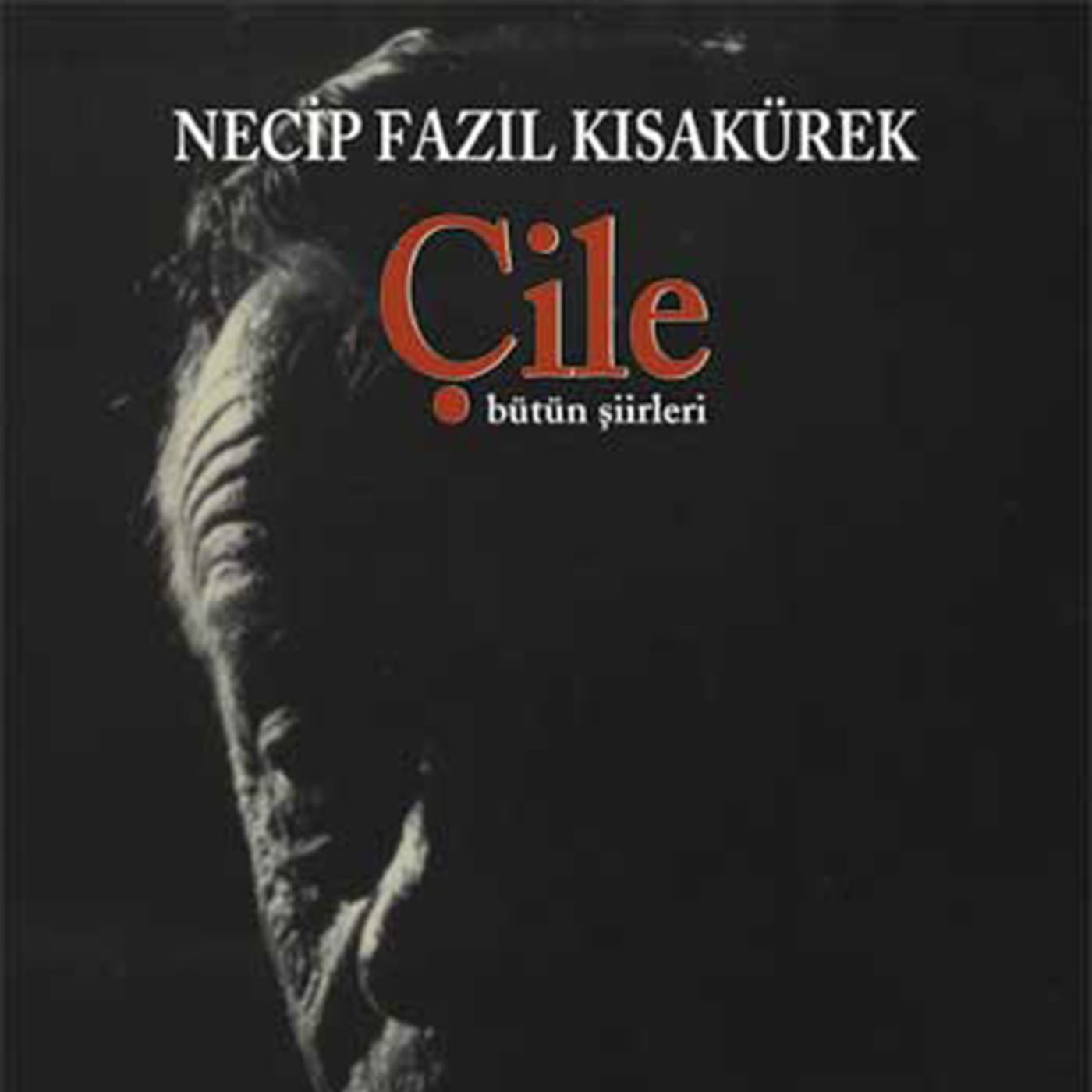 Şiirler Ve Kitaplar