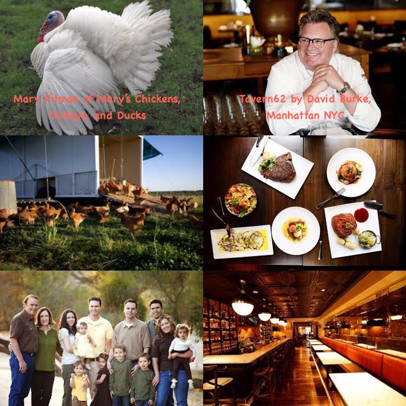 Food, Drink, and Travel