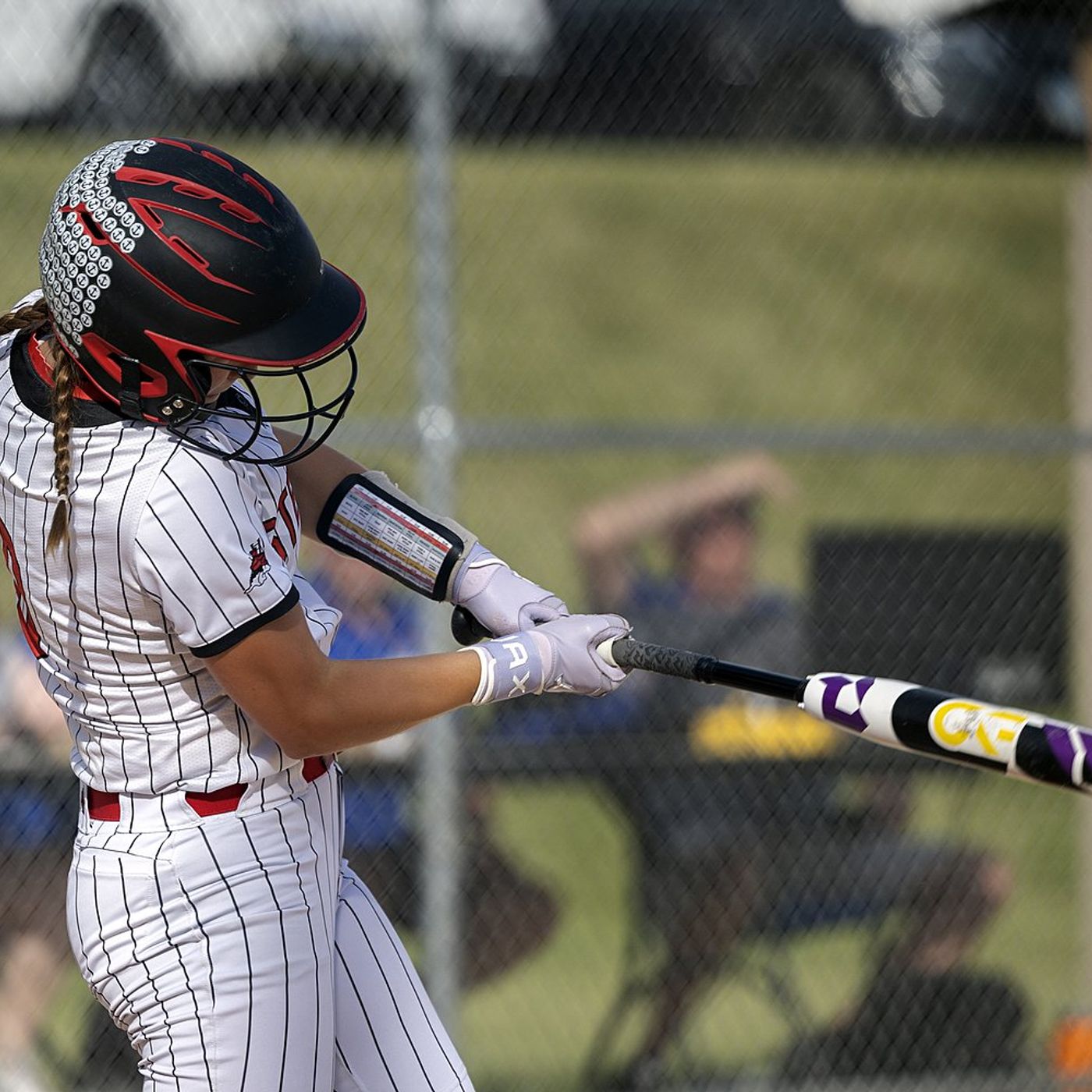 Fulton softball team sets new standard after falling to Dakota in the Sweet 16 episode artwork