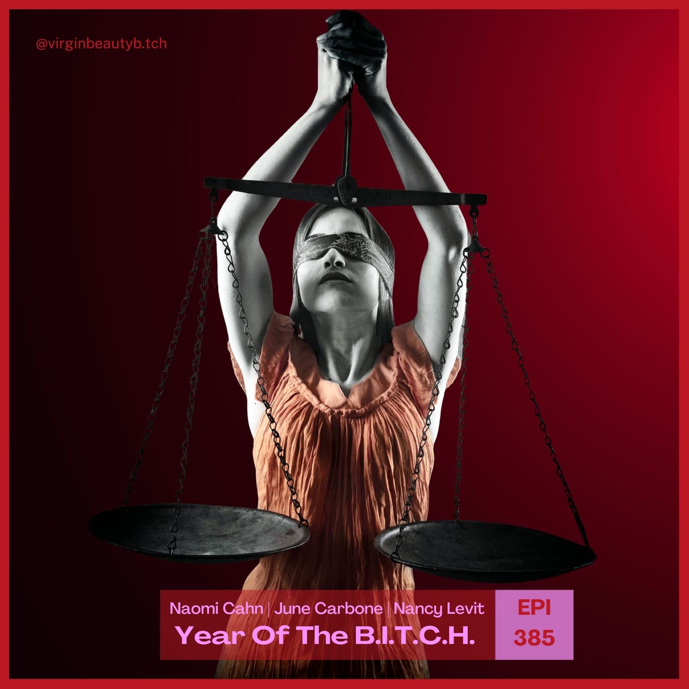 VBB 385 Naomi Cahn, June Carbone, Nancy Levit: Why Women’s Equality Isn’t!