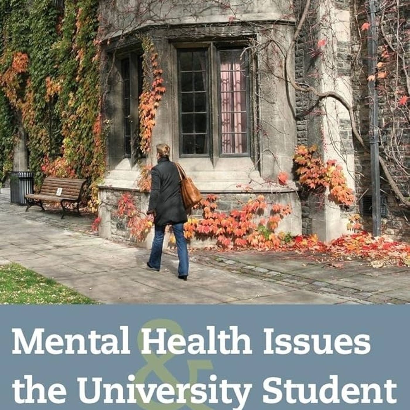Mental Health Issues and the University Student
