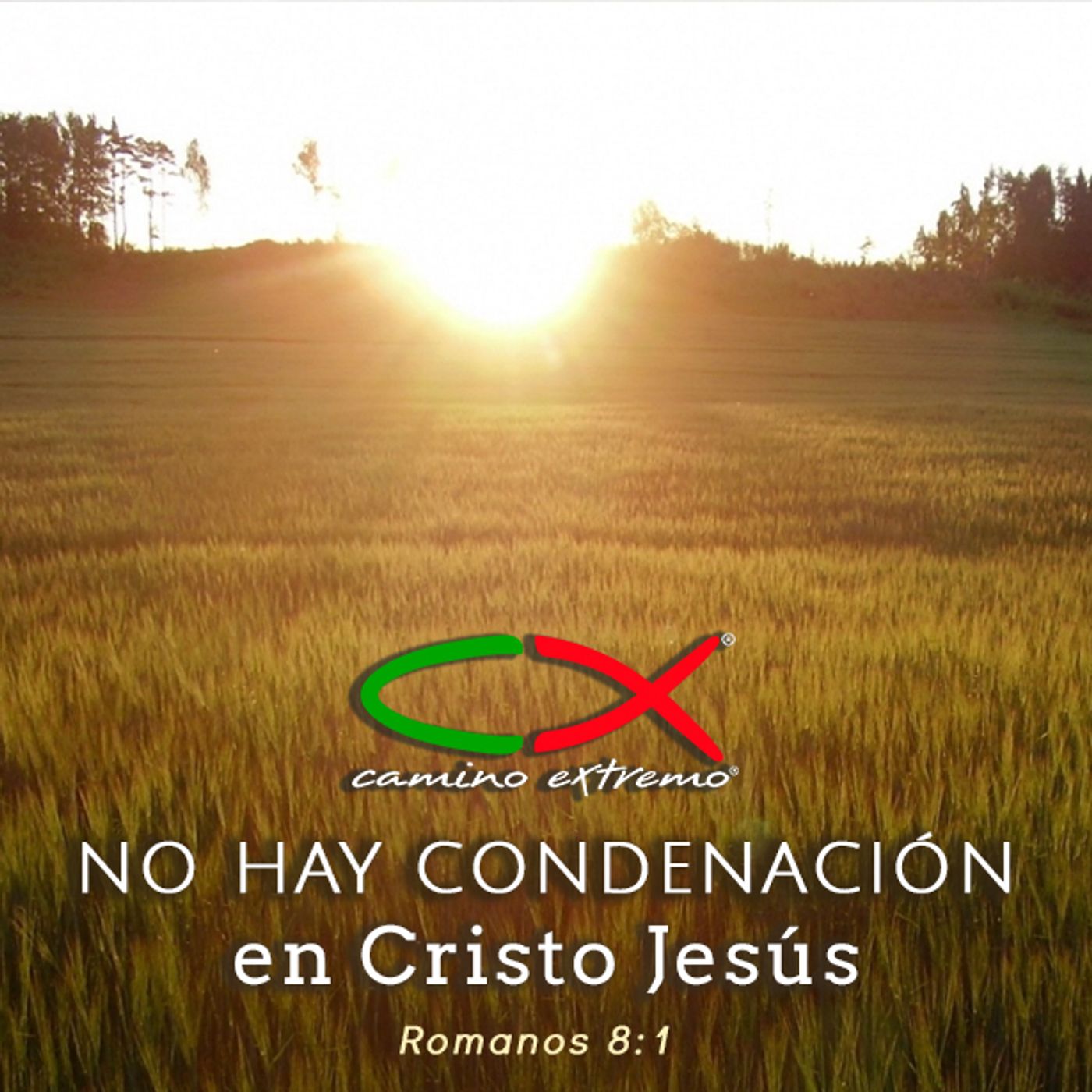 Oración 4 de julio (No hay condenación en Cristo Jesús) episode artwork