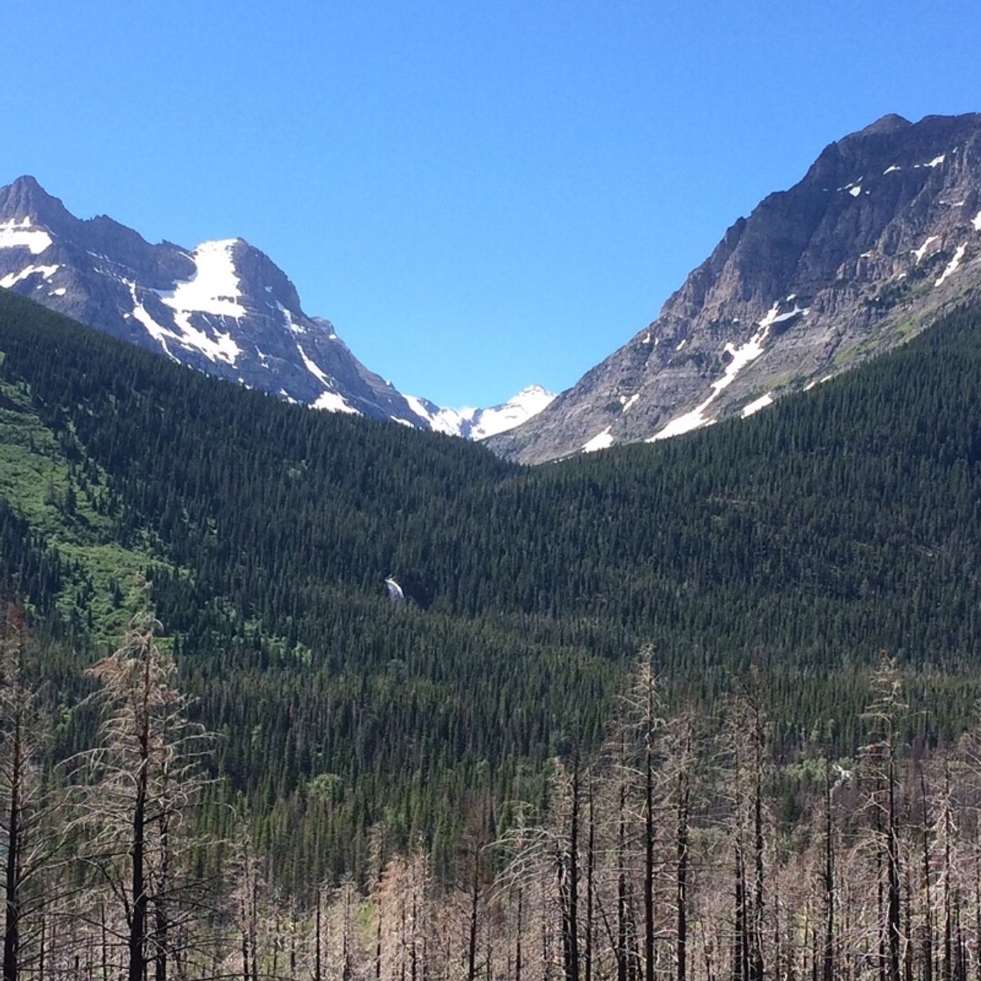 Day 7 On The 11. The Glacierning. I Do Declare An Alberta Rising! thumbnail