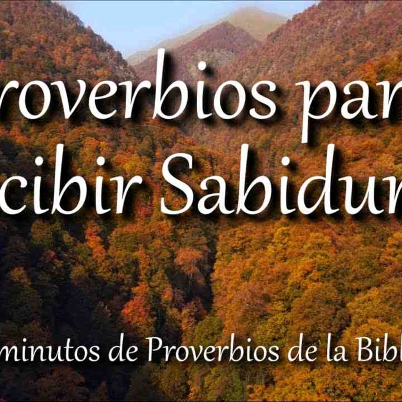 Proverbios para recibir sabiduría de parte de Dios _ Biblia hablada _ Bible audio Proverbs(MP3_160K)_2 episode artwork