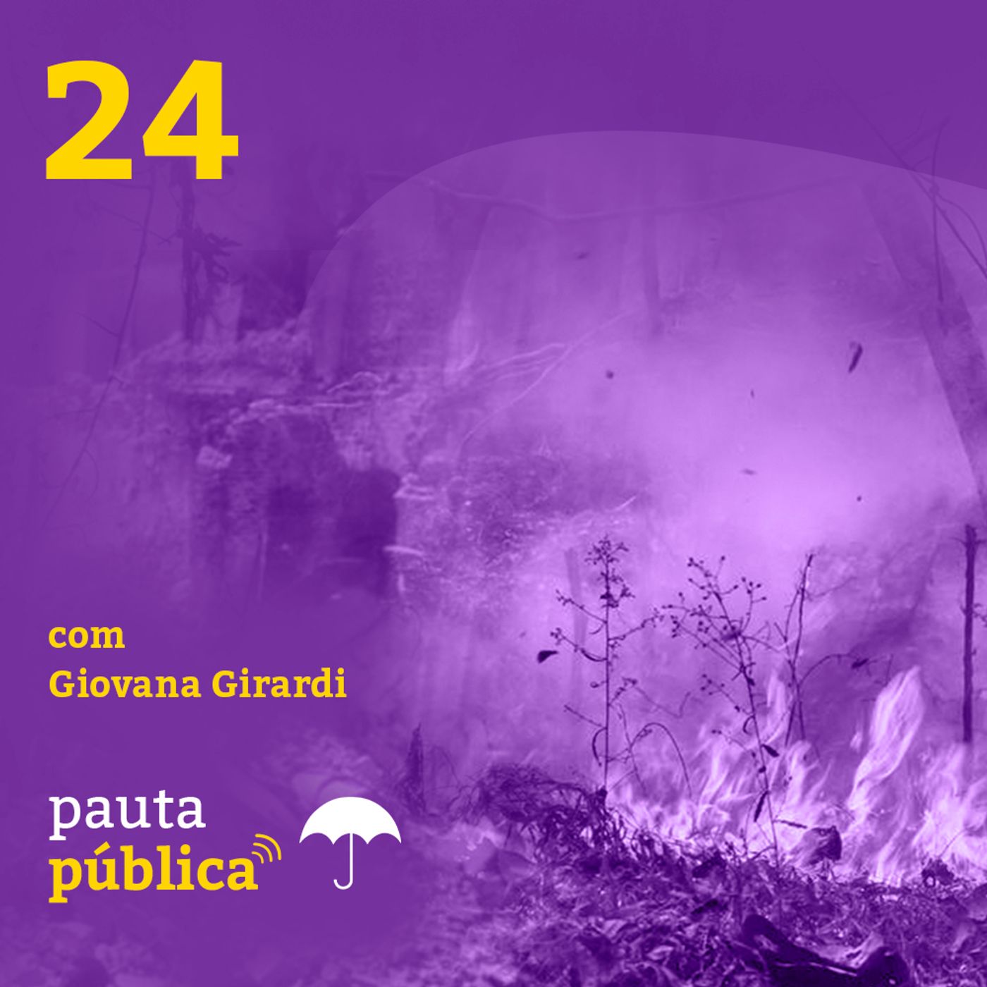 24 | Estado de Emergência: Mudanças Climáticas  — com Giovana Girardi