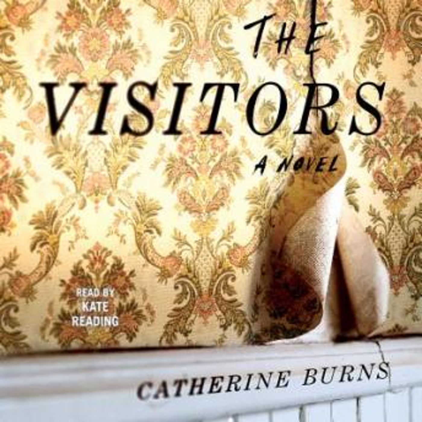 The Visitors by Catherine Burns episode artwork
