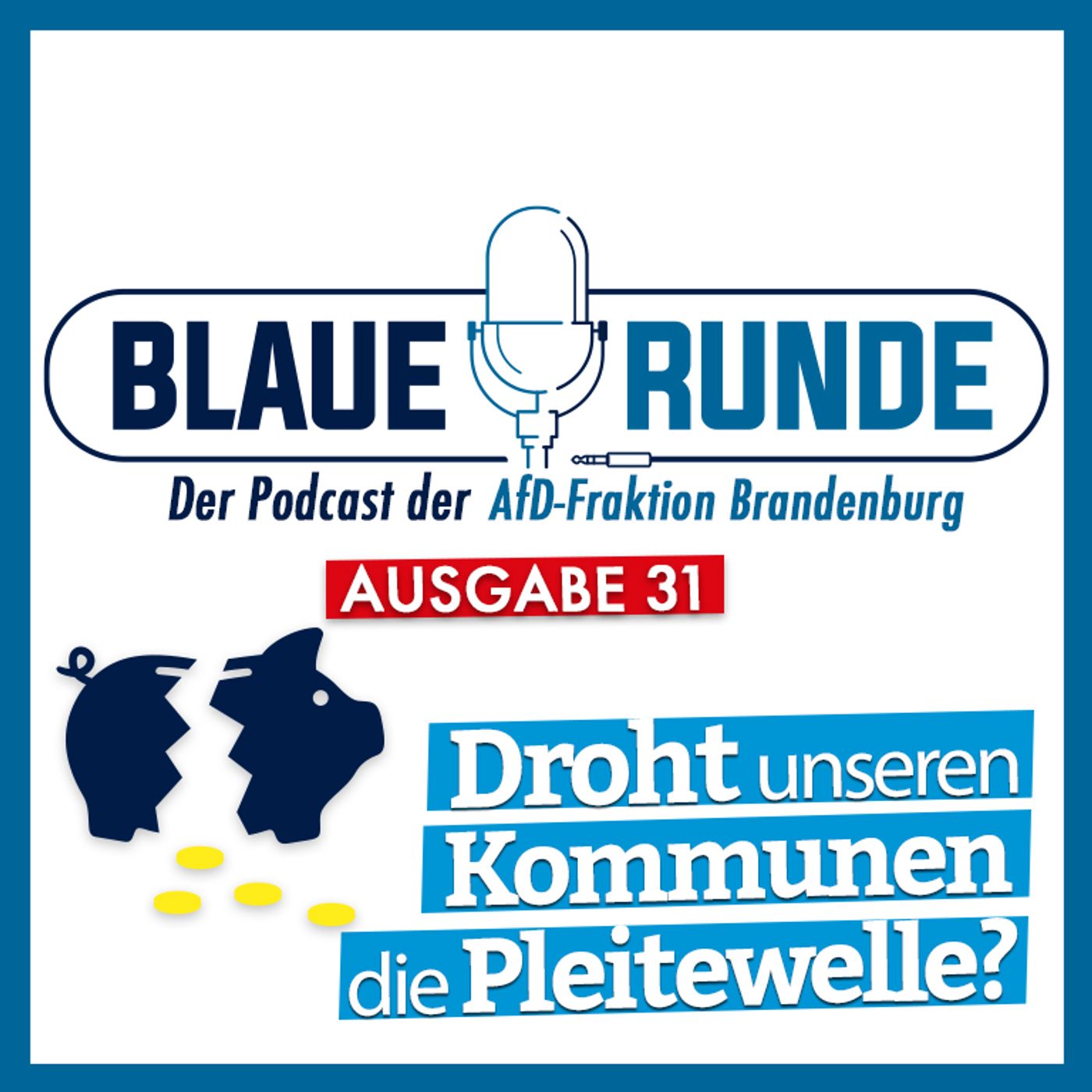 Droht unseren Kommunen die Pleitewelle? | Die Blaue Runde, Ausgabe 31/23 vom 24.03.2023 episode artwork