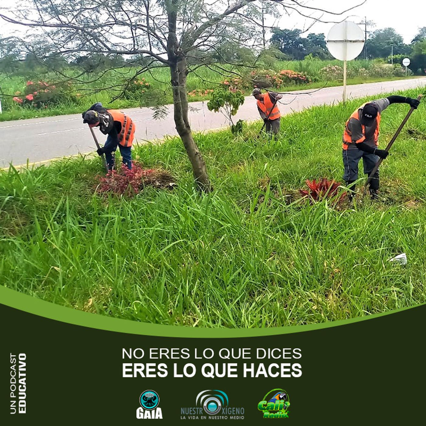 2023 Nuestro oxigeno 11- Noviembre