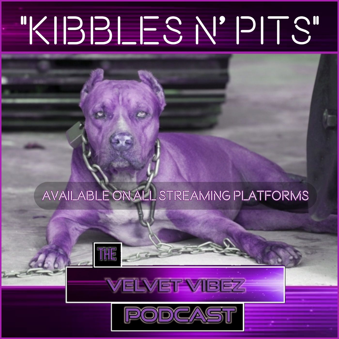 Velvet Vibez Podcast