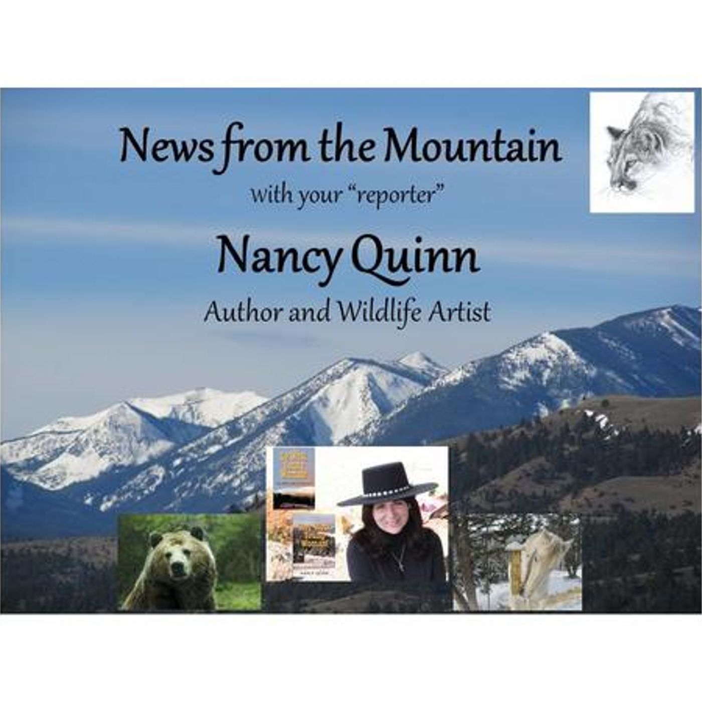 News From The Mountain with Author Nancy Quinn episode artwork