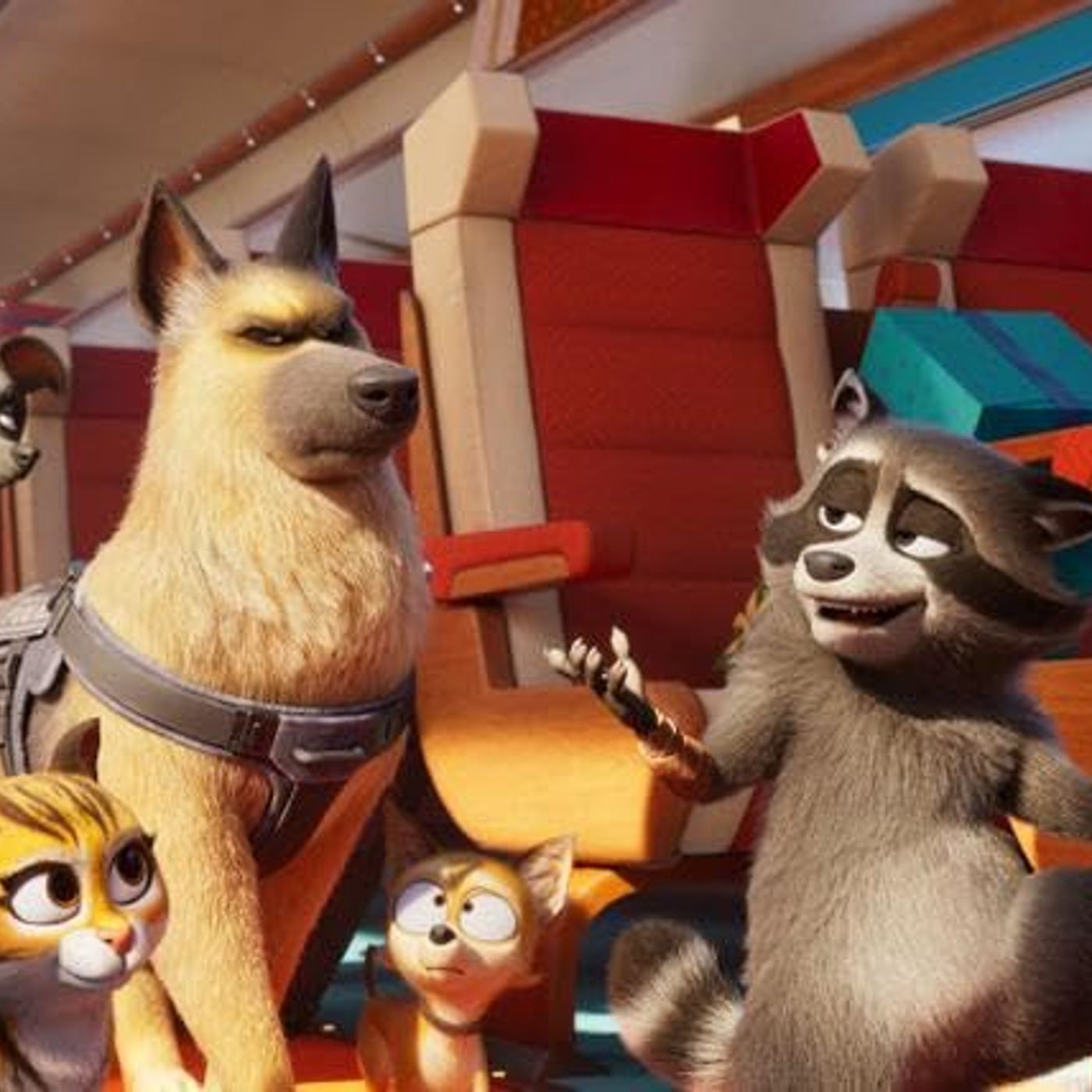 Subculture Film Reviews - PETS ON A TRAIN (Central Coast Radio)