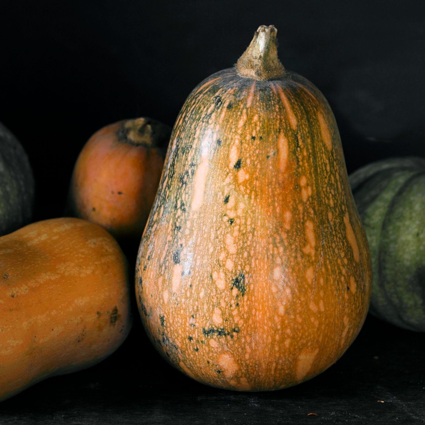 Vellutata di Zucca: il Comfort Food che Rilassa Corpo e Mente episode artwork