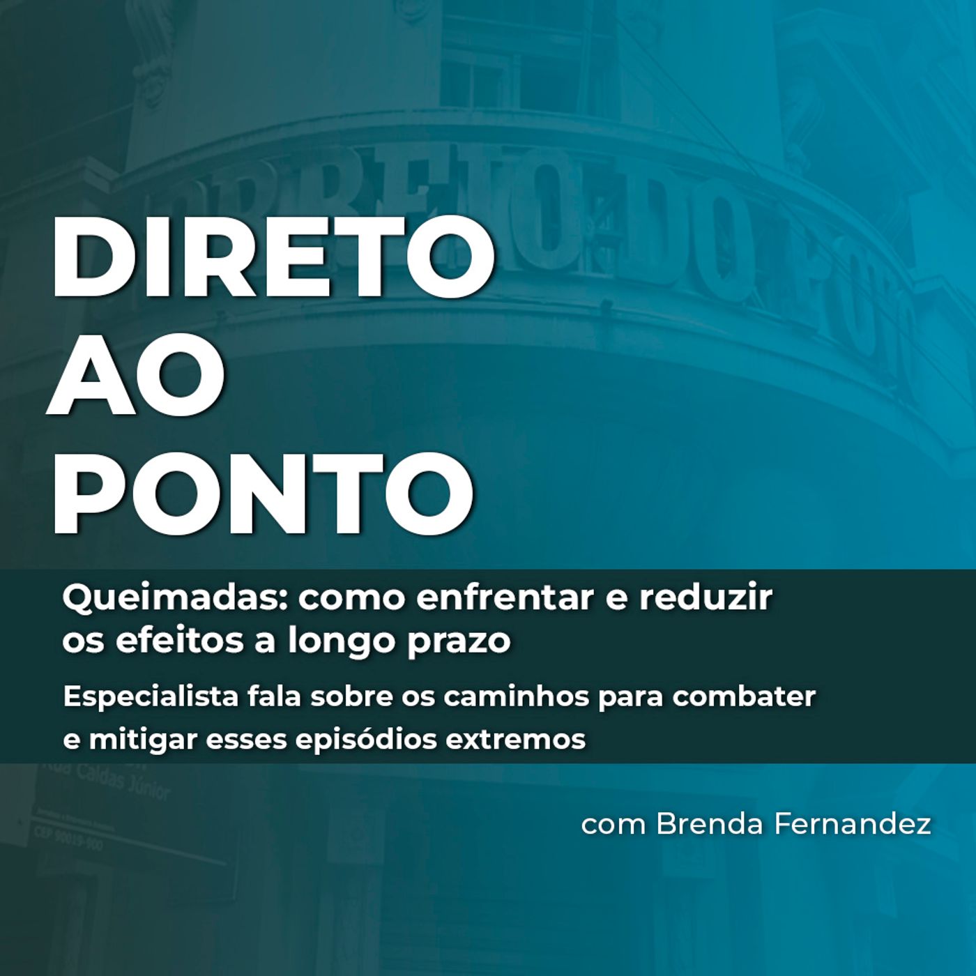 Queimadas: como enfrentar e reduzir os efeitos a longo prazo