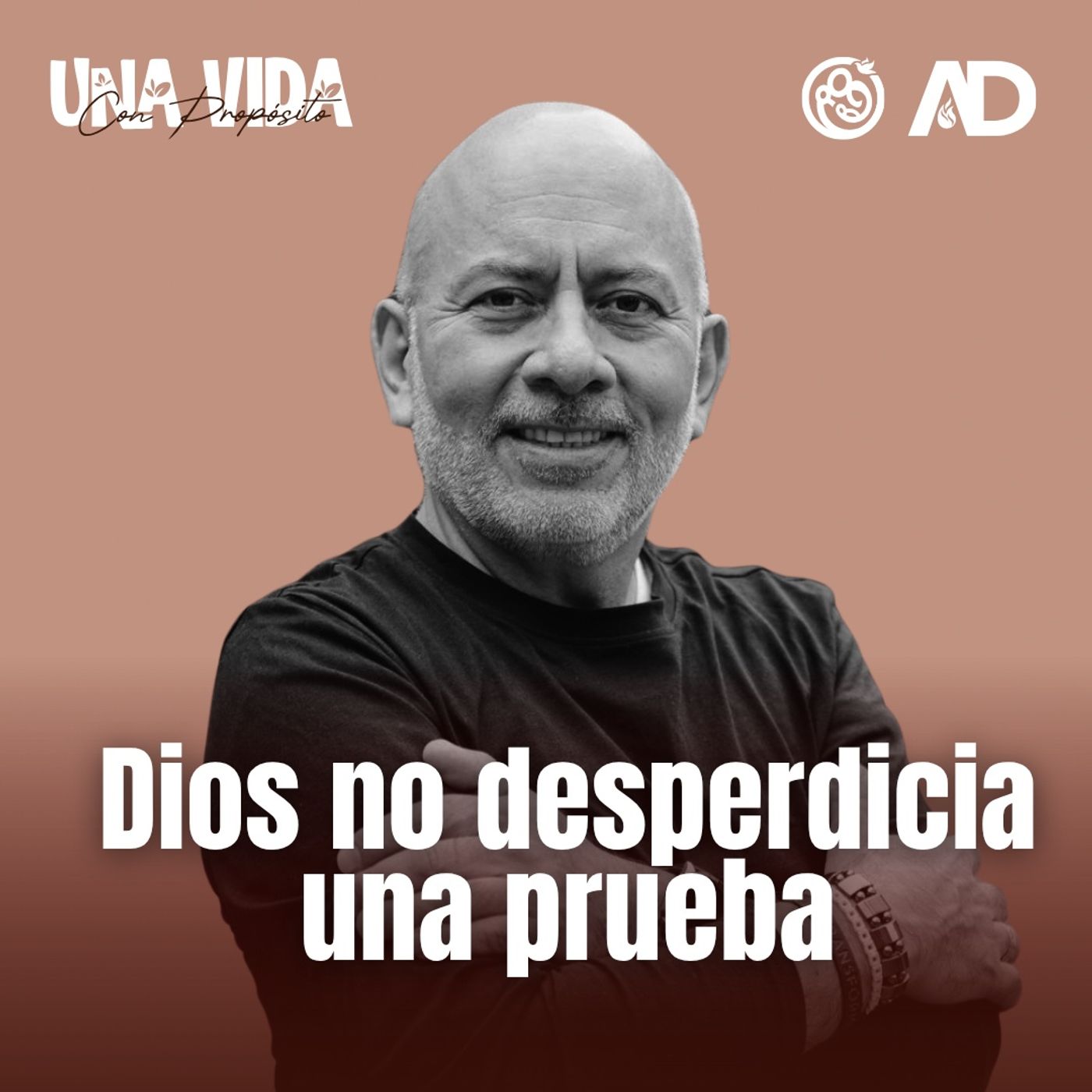 DIA 6 - Dios no desperdicia una prueba episode artwork