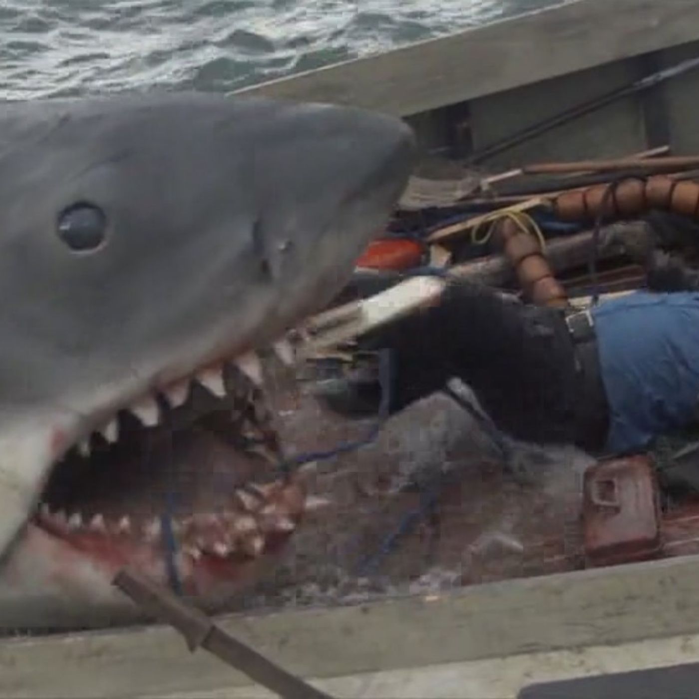 Cowboys de Medianoche: Viajes espacio-temporales, museos de Viena y 'Tiburón'