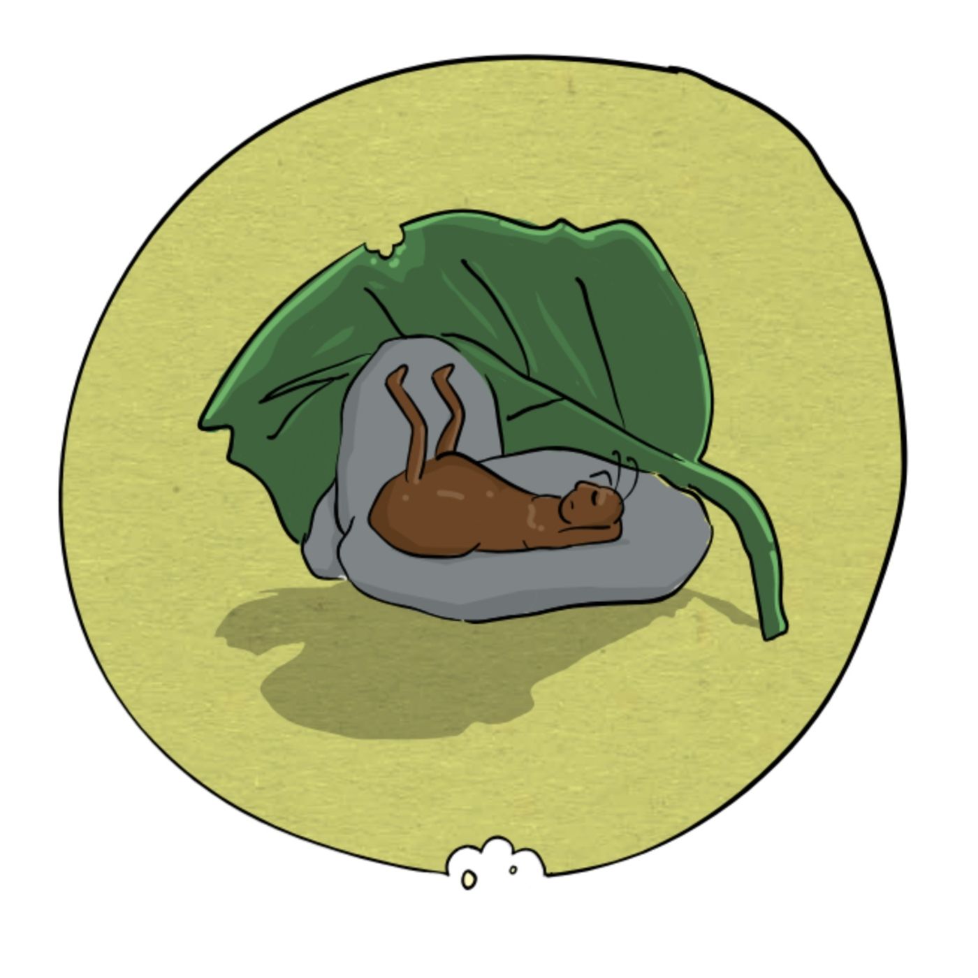 Ririro.com/nl - Baby verhaaltjes