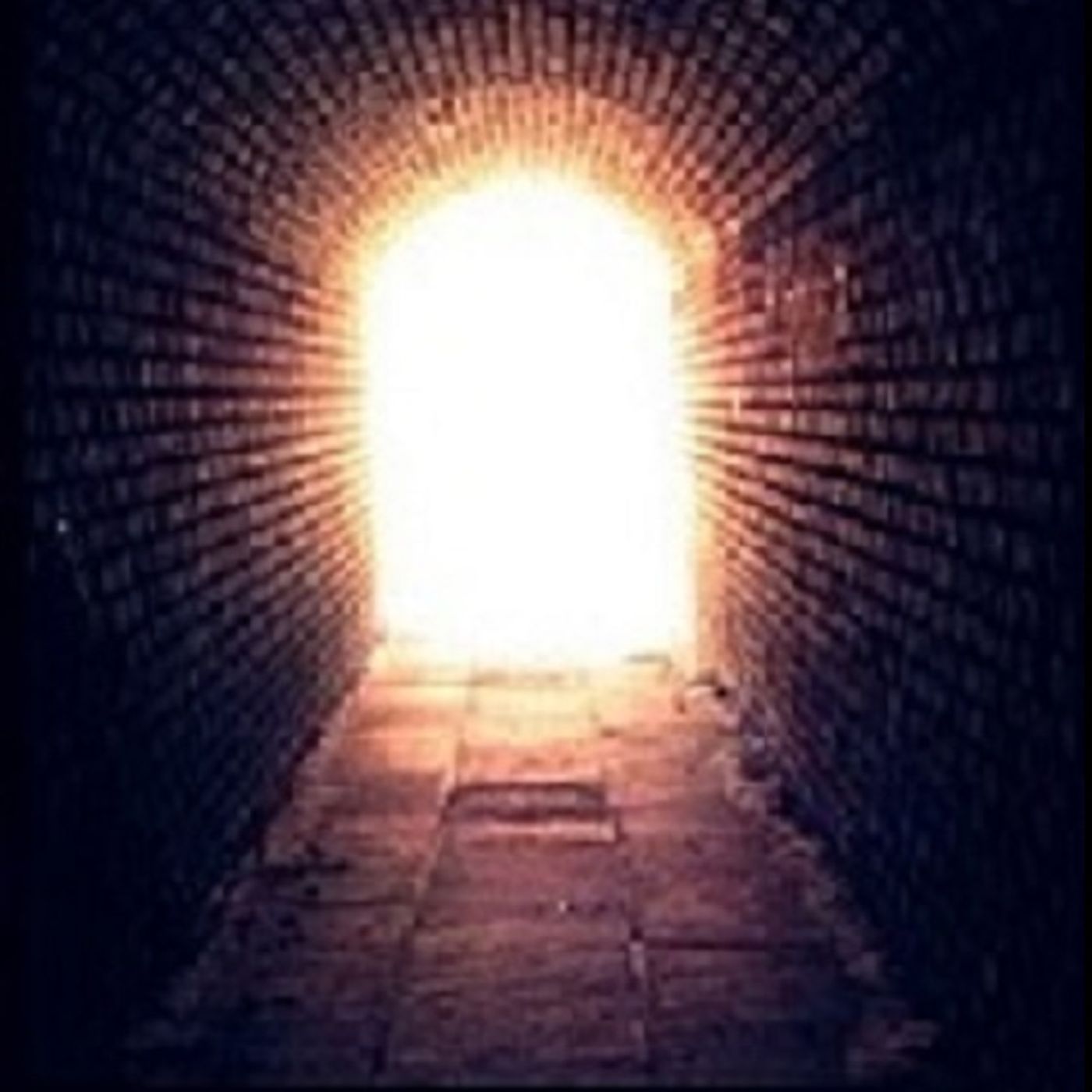 Voice Out of the Darkness- Prophetic Vis cover art