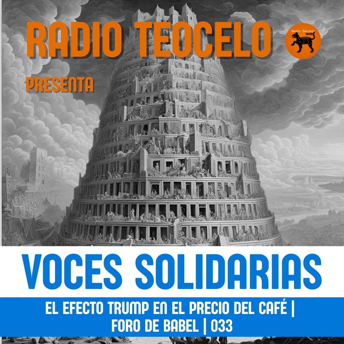 Voces Solidarias