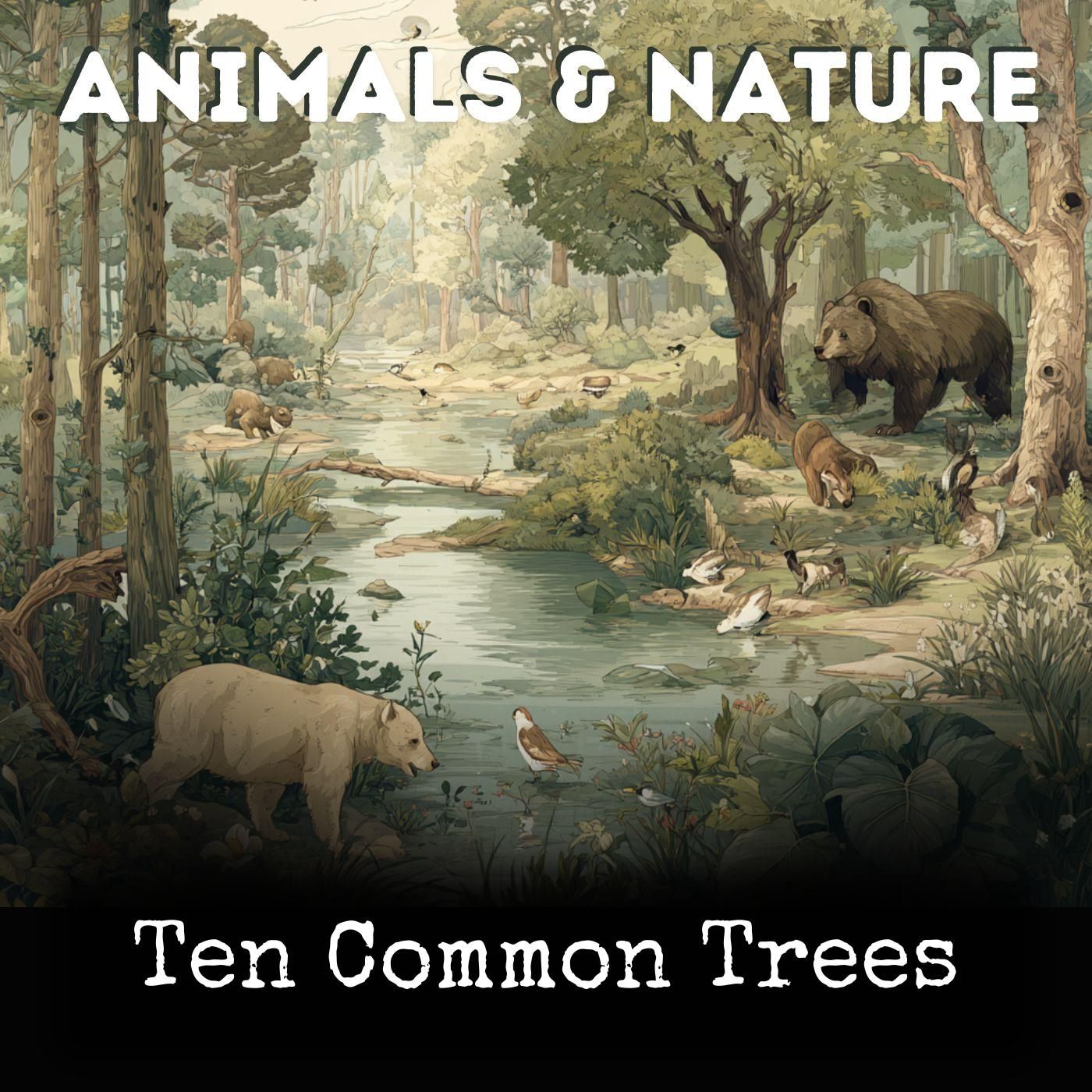 Ten Common Trees cover art