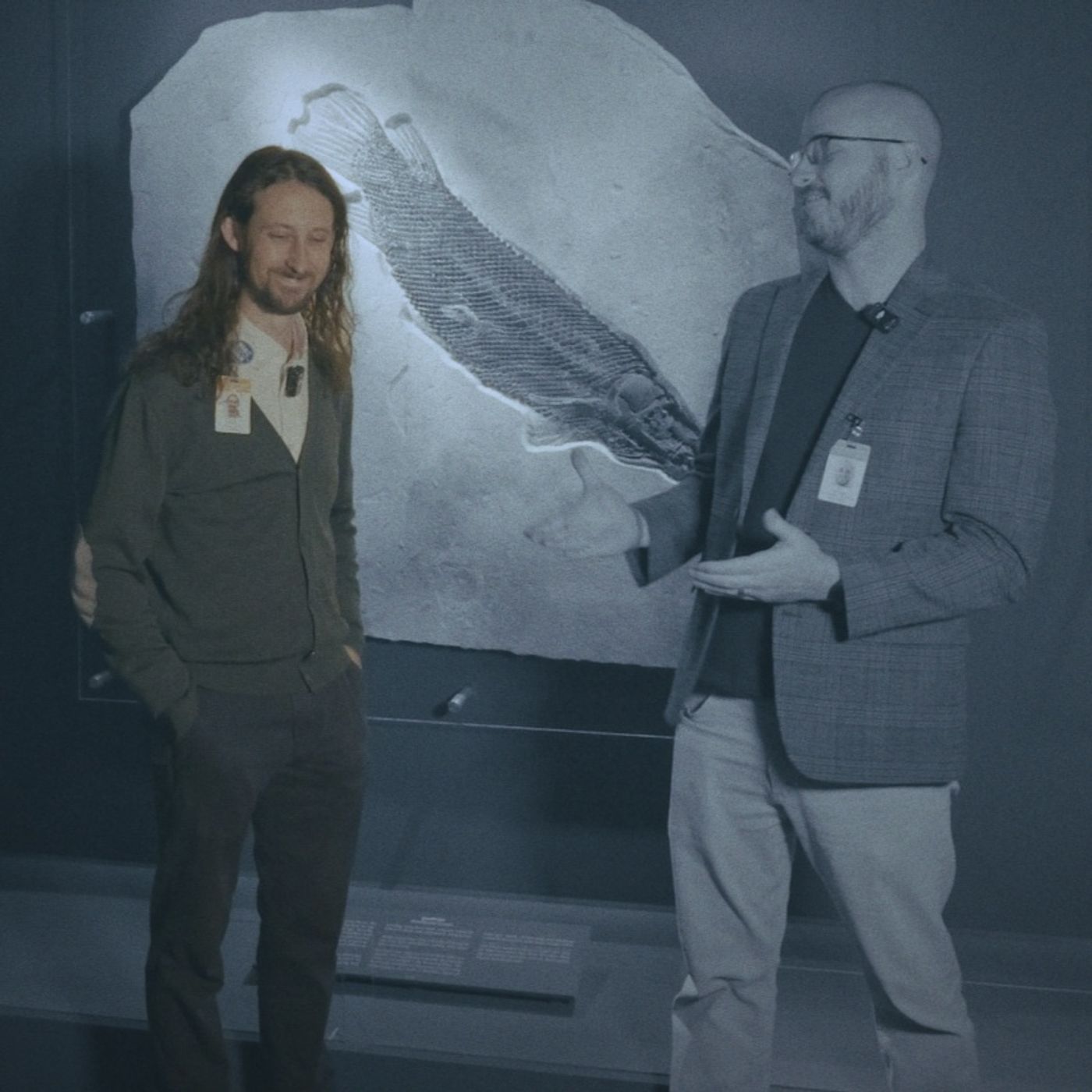 Fossil Preparation, "From the Grave to the Cradle"