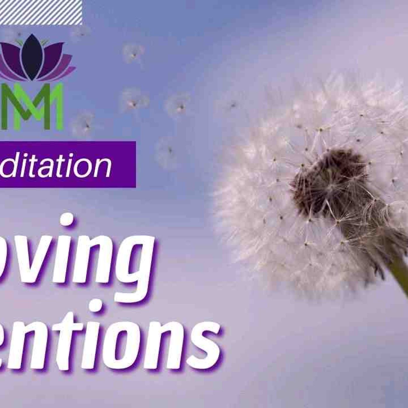 Guided Meditation to Set Your Intentions for Loving Kindness _ Mindful Movement episode artwork