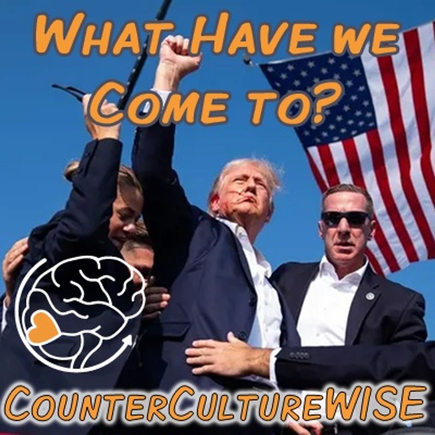 CounterCultureWISE