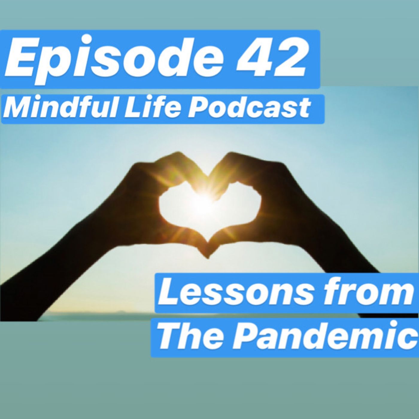 Mindful Life Podcast