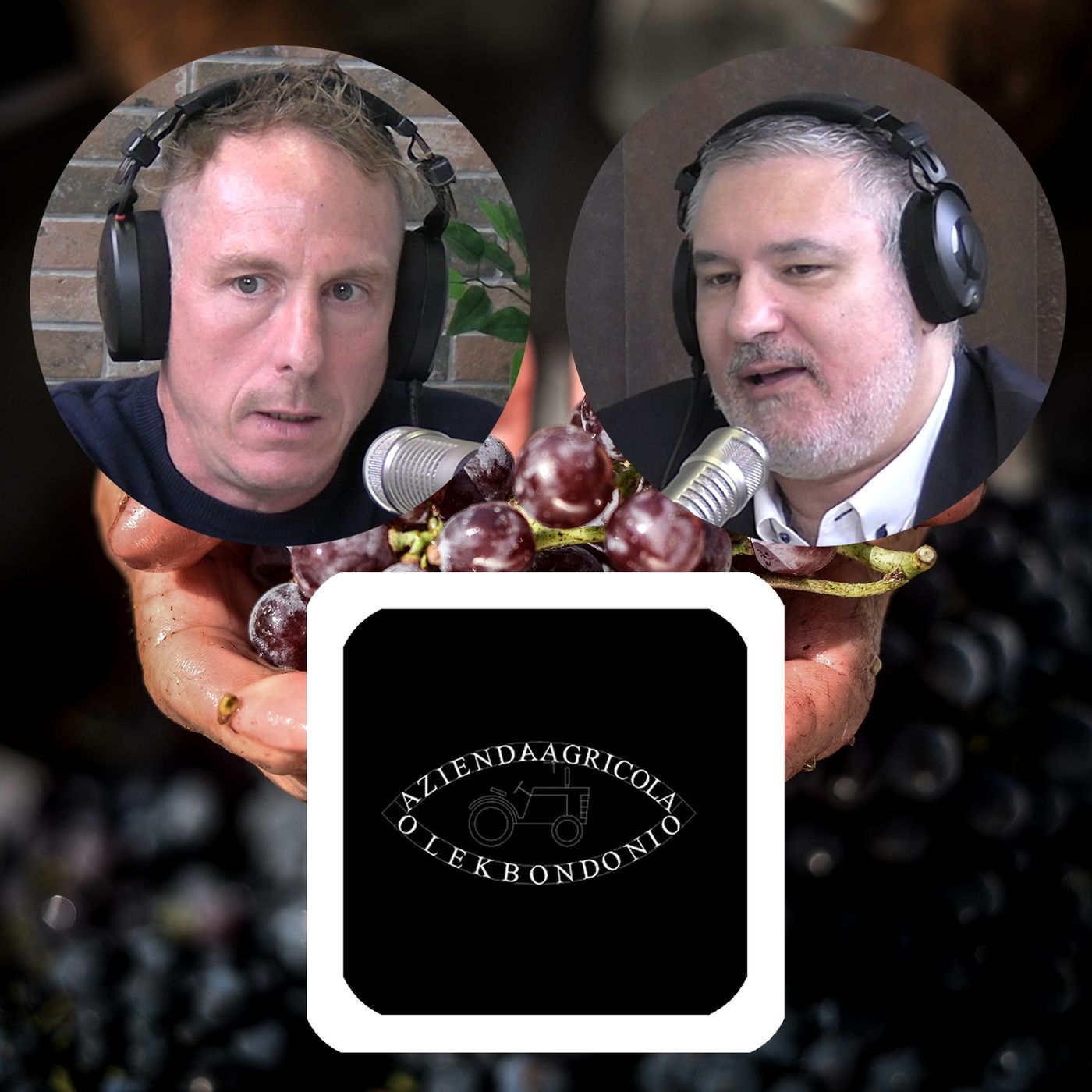 Storie di Vino e Viticoltori