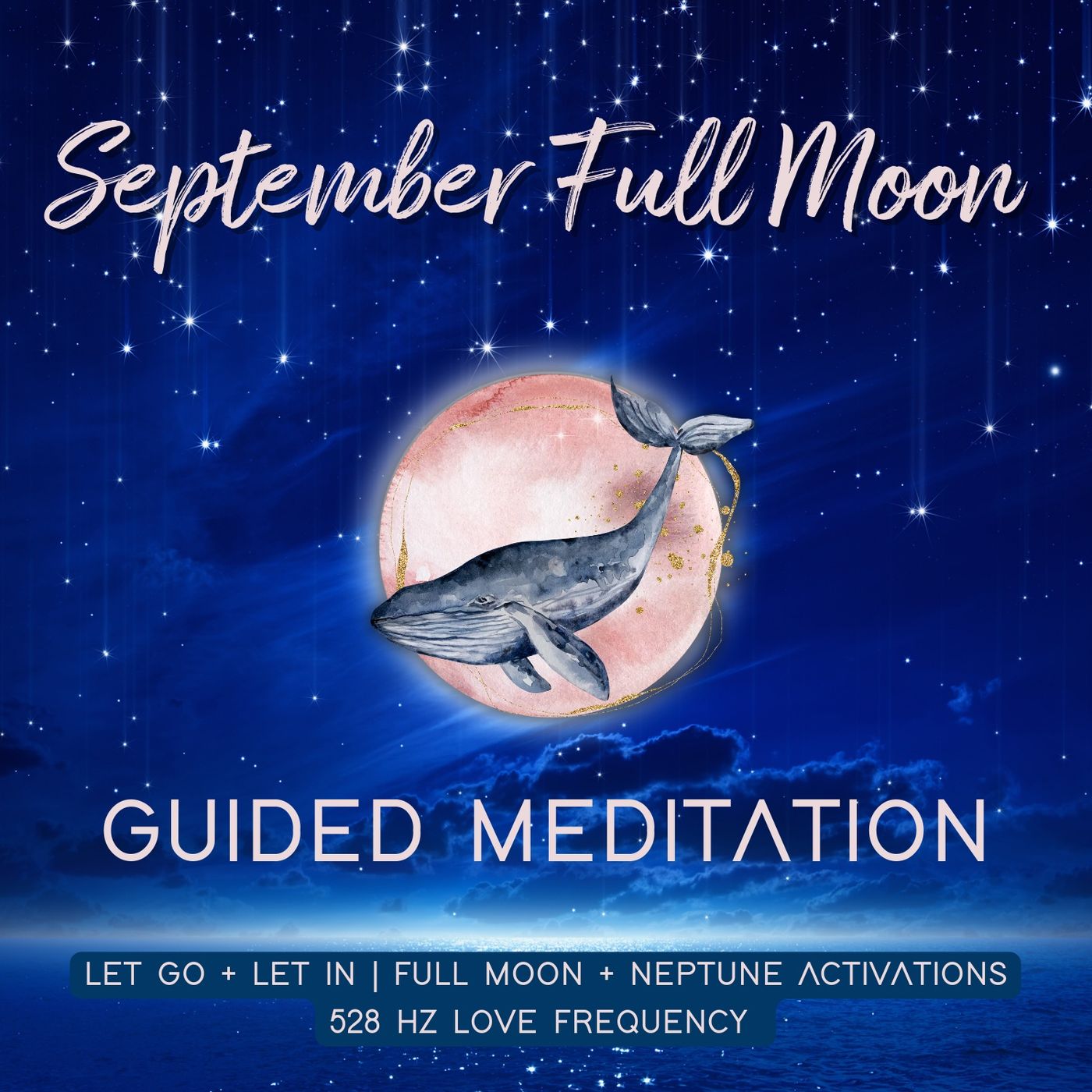 The Psychic Soul Meditations