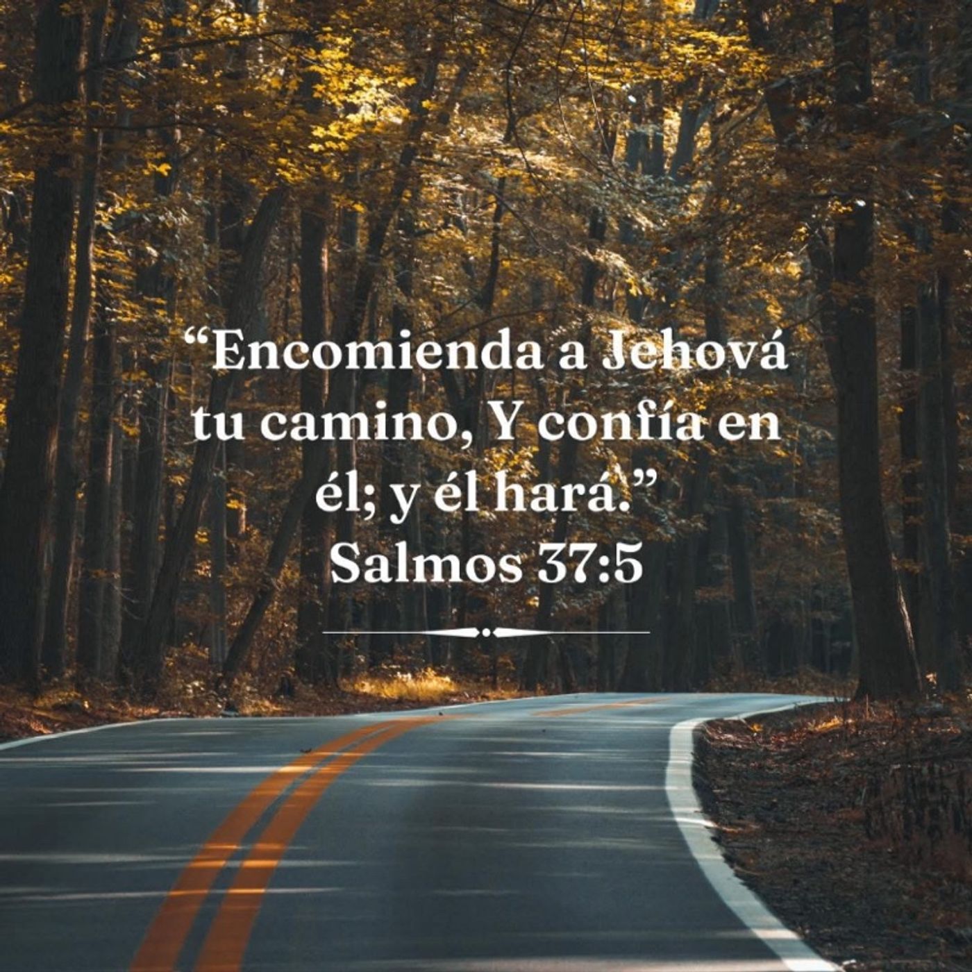 Su delicia