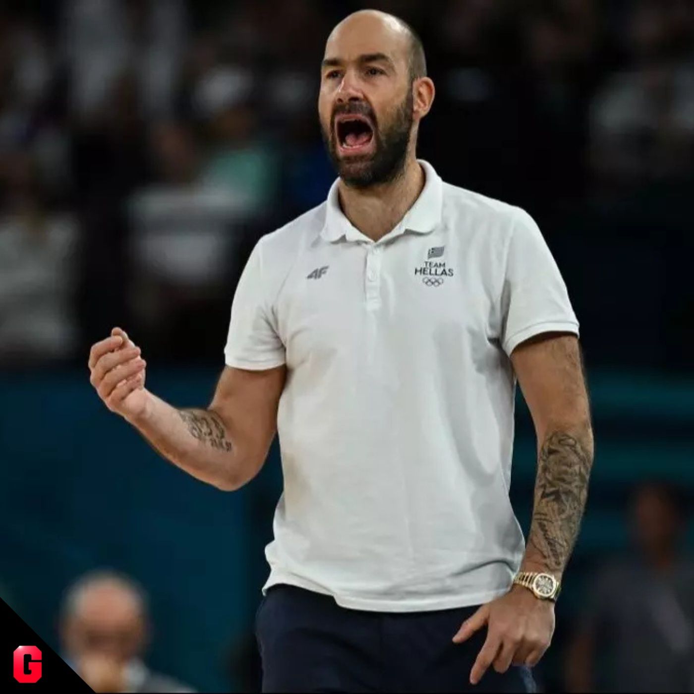 Gigantes Daily, baloncesto al día