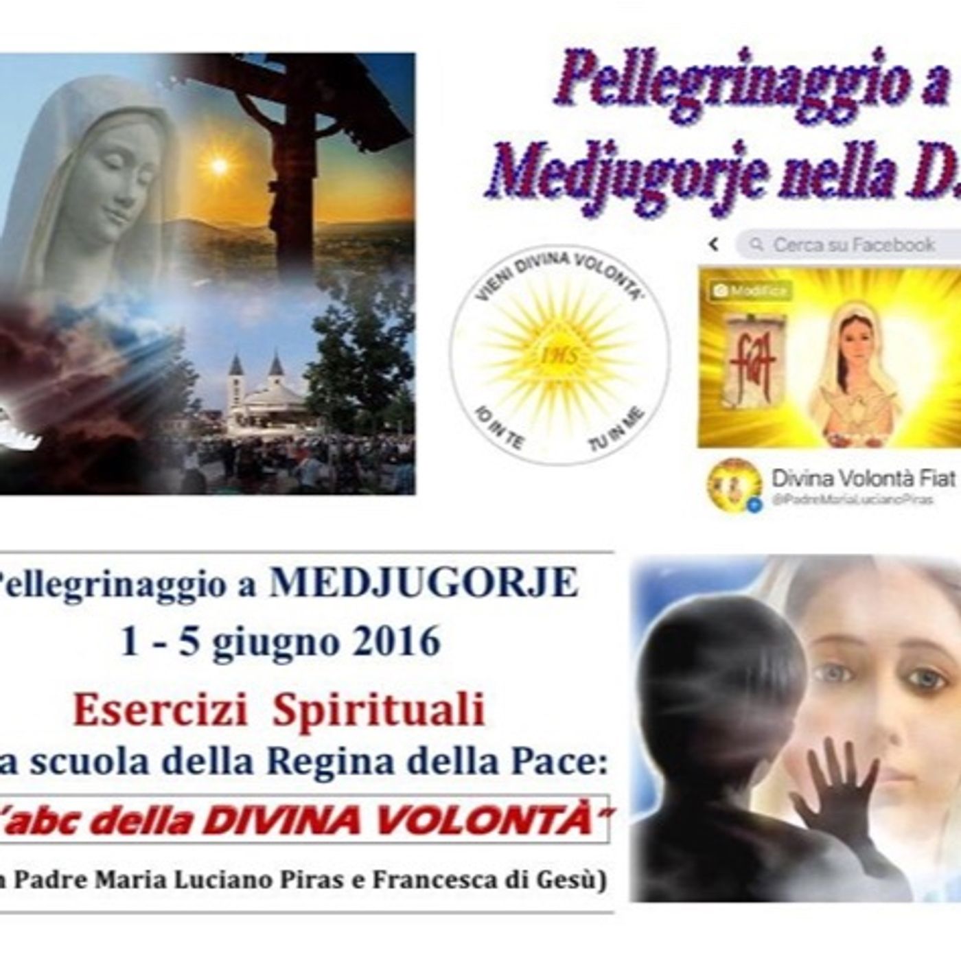 🌻〽️14) DV TESTIMONIANZE (2). Francesca di Gesù (passi profetici). Medjugorje - TO 5-6-16 episode artwork