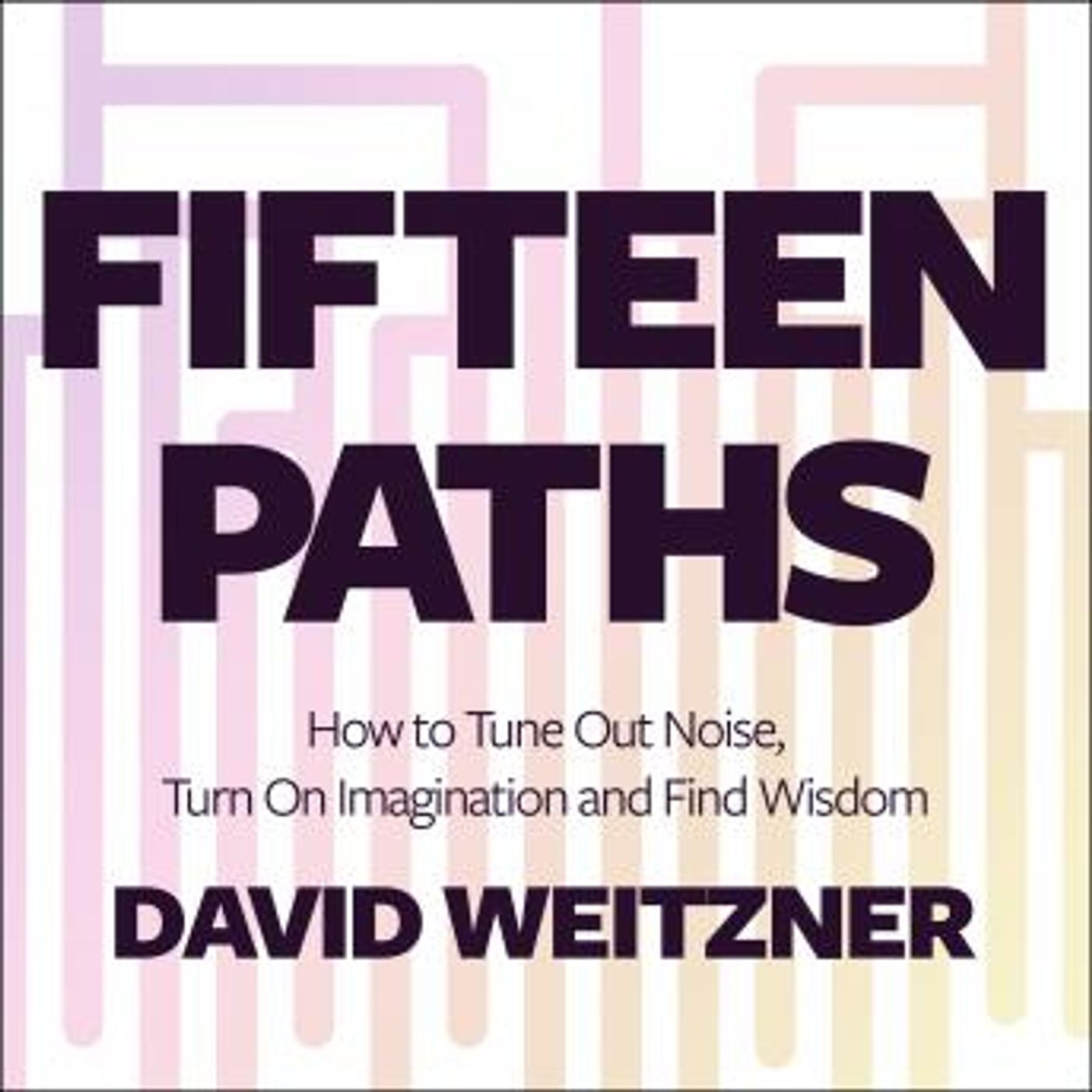 Fifteen Paths: How to Tune Out Noise, Turn On Imagination and Find Wisdom by David Weitzner PhD episode artwork