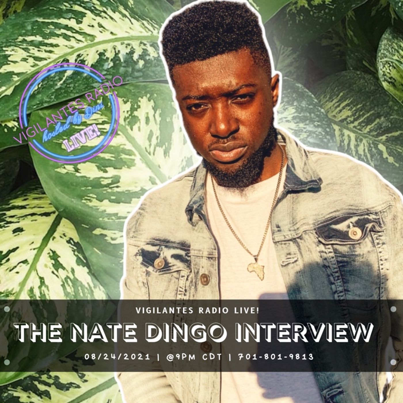 The Nate Dingo Interview. Image