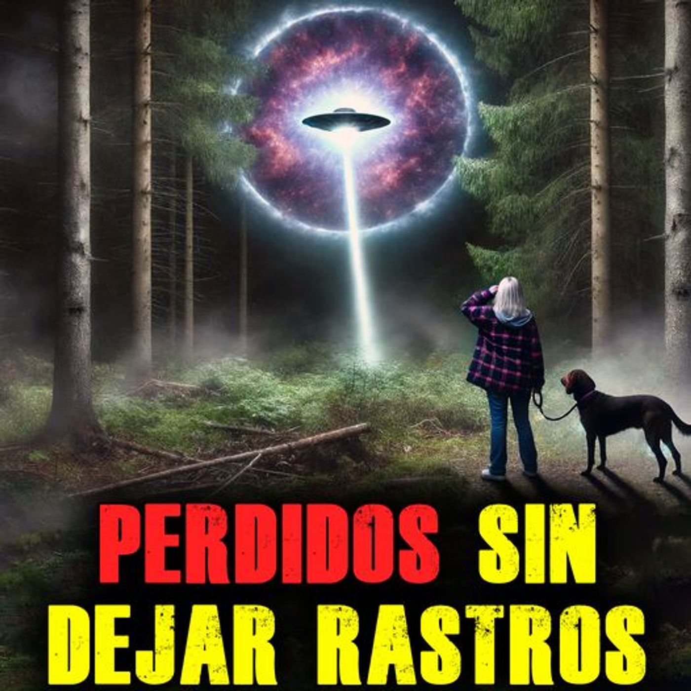 Raptados por lo DESCONOCIDO: El Misterio de las DESAPARICIONES #missing411 #missing412 #miedo