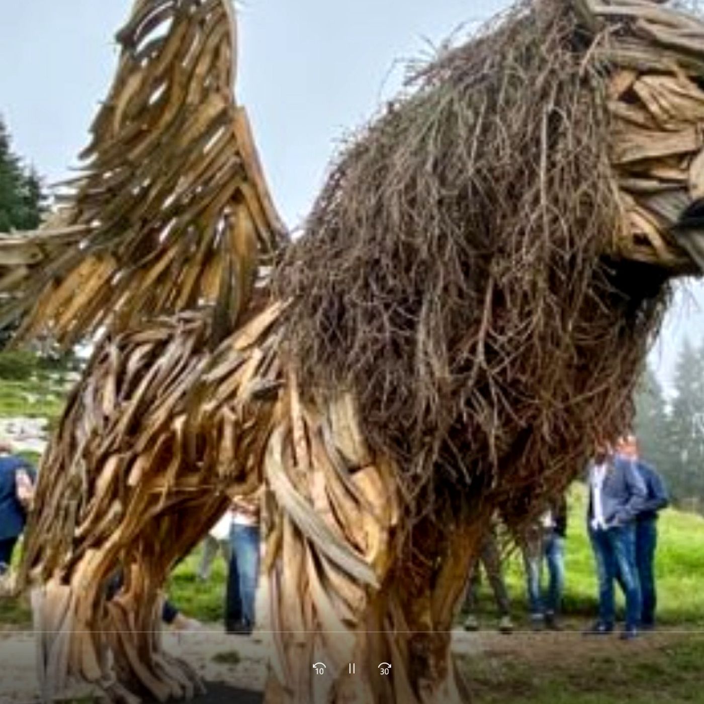 Ernestina dalla fine del mondo