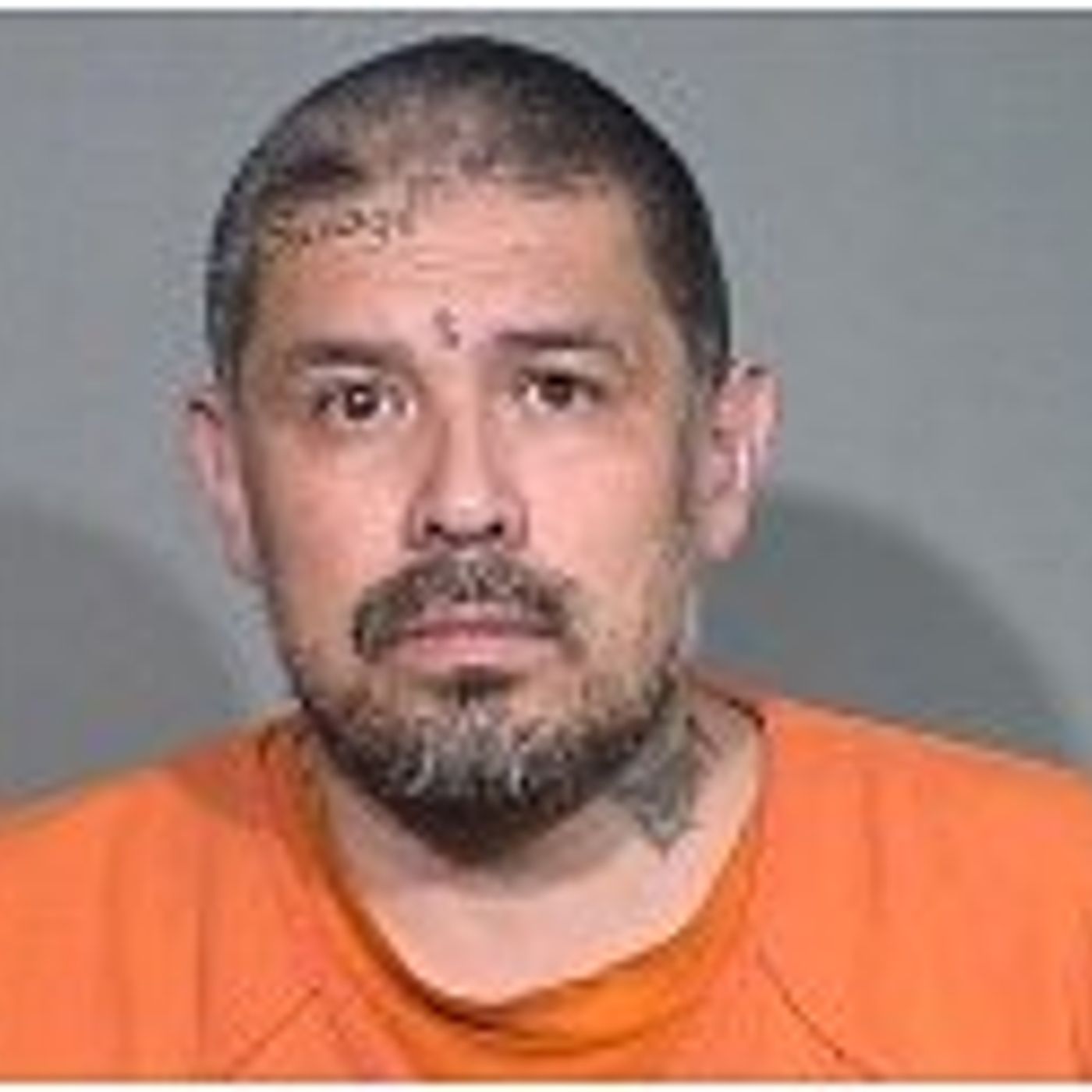 Police got 6 tips that Wonder Lake man was dealing drugs. Now he has a 6-year prison sentence episode artwork