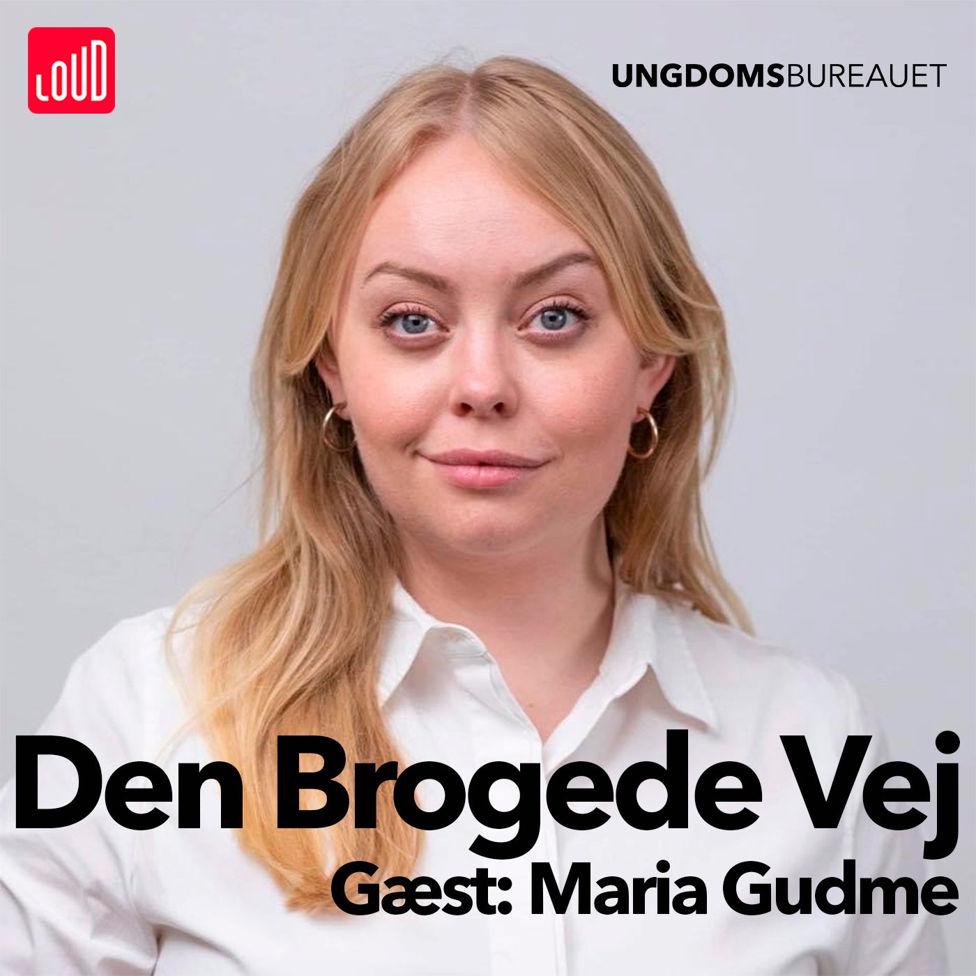 Den Brogede Vej