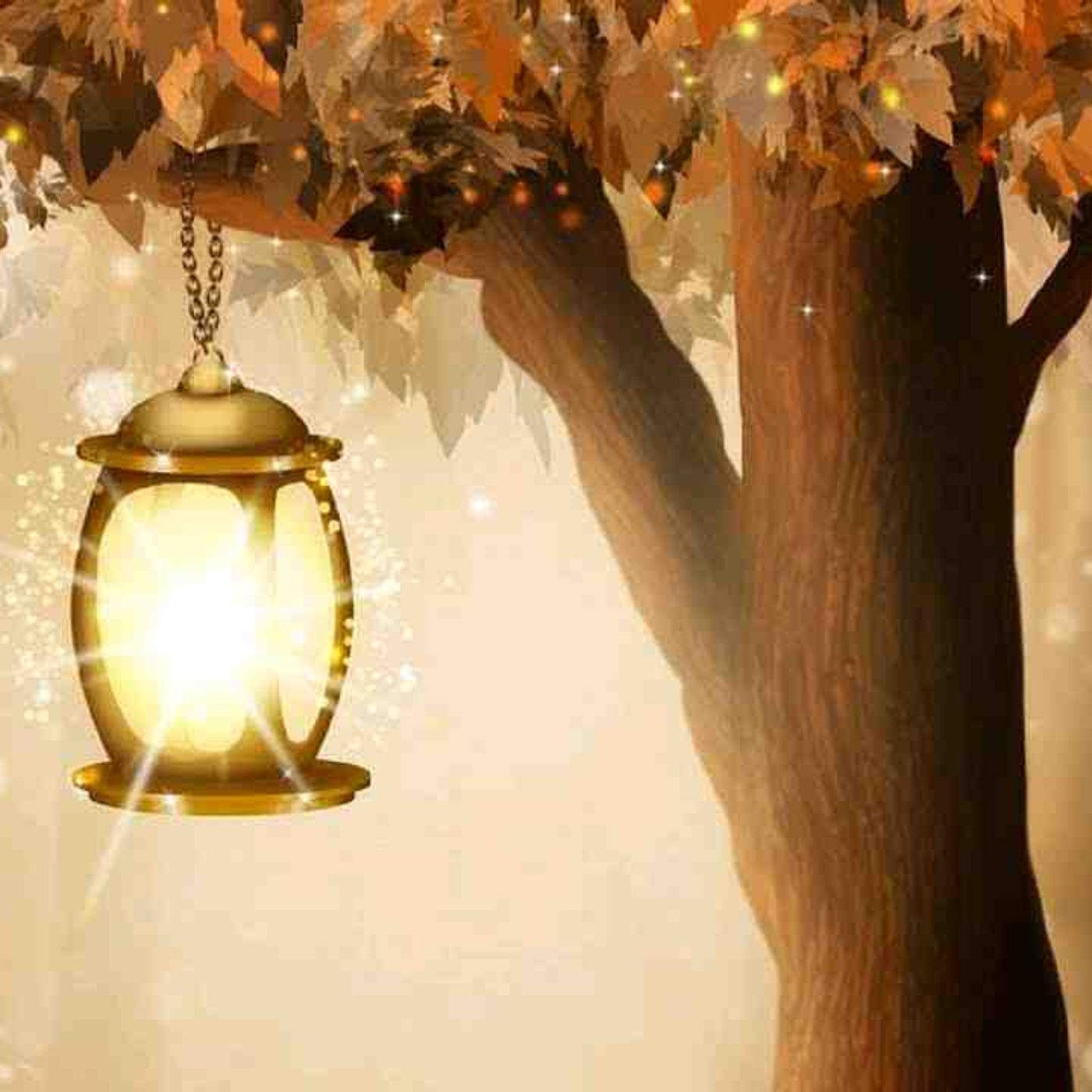 Guided Meditation for Children _ SHINE YOUR LIGHT _ Kids Meditation for Anxiety _ Confidence episode artwork