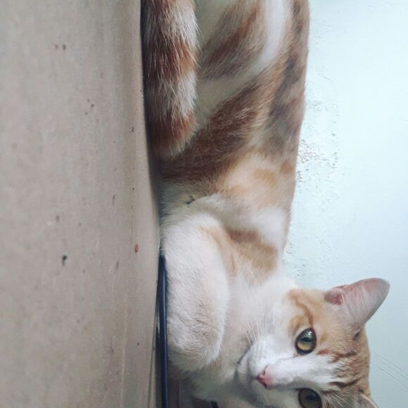 Emociones y punto cover art